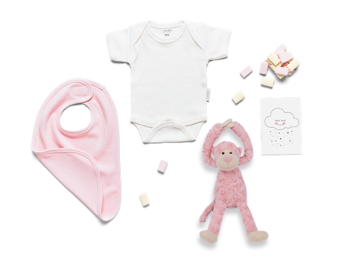 Baby Pink Kraampakket