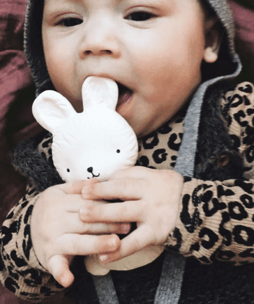 bijtring a little lovely company