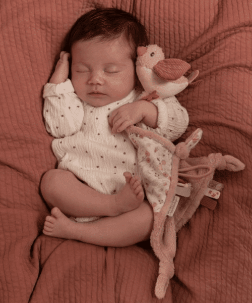 Knuffeldoekje Flowers & Butterflies