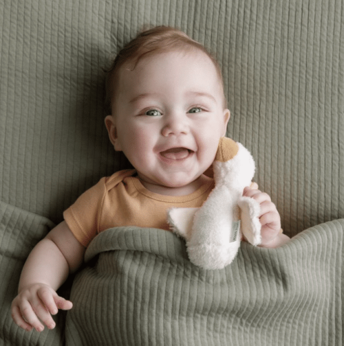 Knijpspeeltje Little Goose