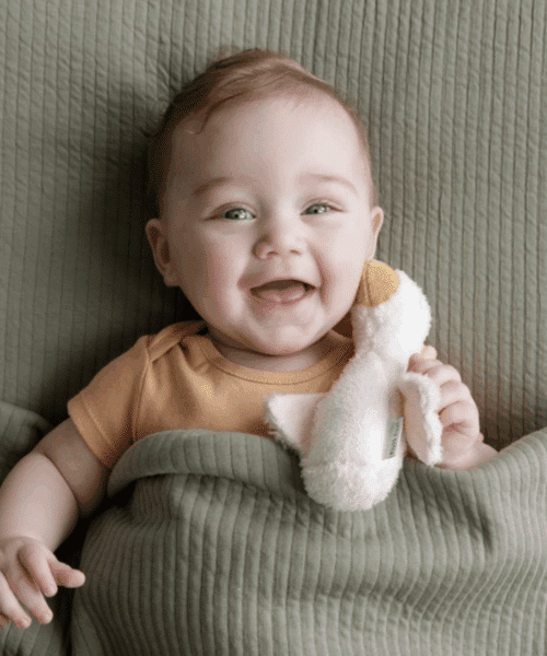 Knijpspeeltje Little Goose