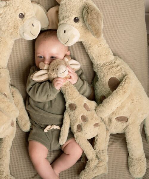 Alternative view of Giraffe Gus 22 cm