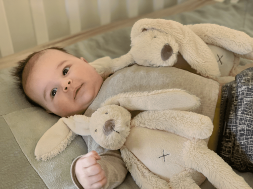 Alternative view of Rabbit Richie Beige Tuttle