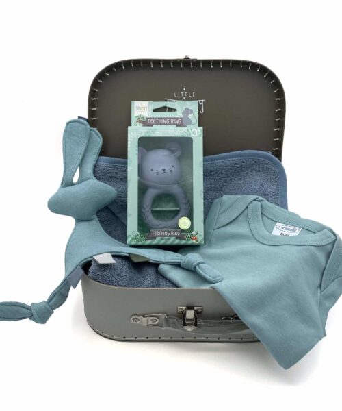 Kraamkoffer Little Dino groen