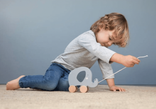 Trekdier Little Goose