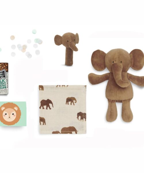 Little Elephant Savannah