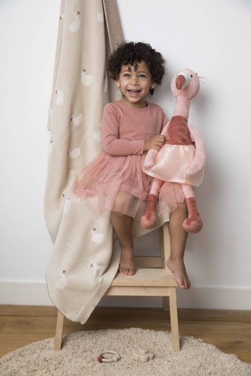 Alternative view of Swan Swizzle Tuttle