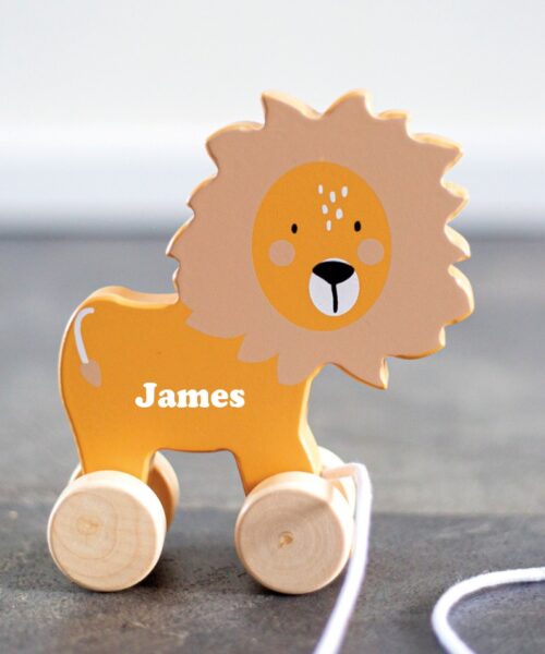 Alternative view of Houten Speelgoed Trekdier - met naam