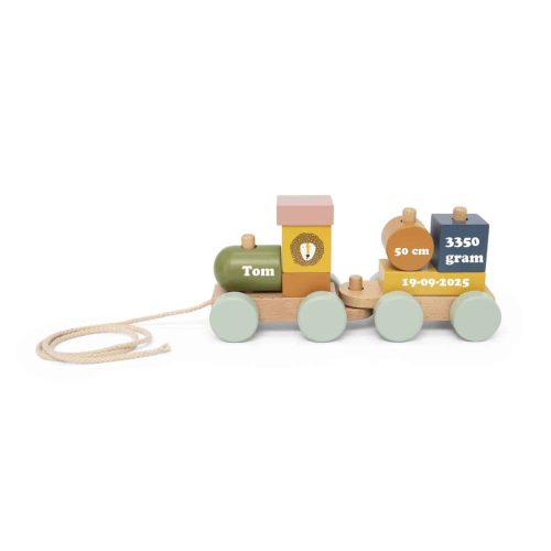 Mini blokken dierentrein Trixie met naam