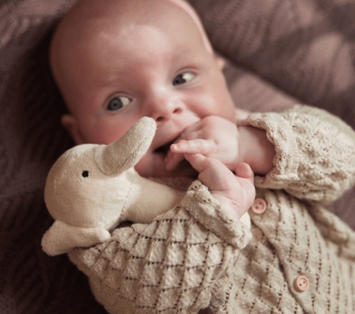 Rammelaar Elephant - Nougat