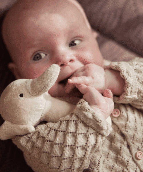 Rammelaar Elephant - Nougat