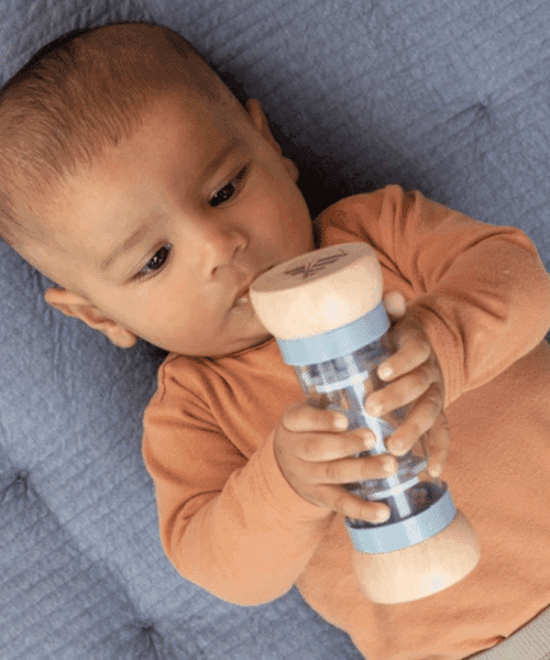 Regenrammelaar Sailors Bay