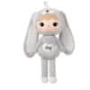 Pop Bunny Silver Grey met naam