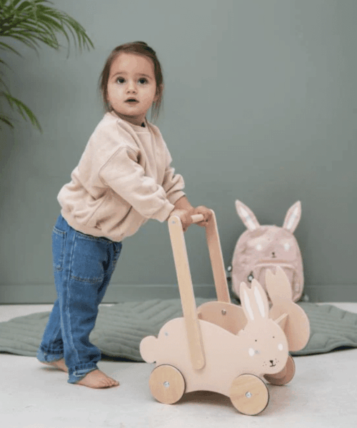 Alternative view of Houten Duwkar Trixie dier met naam