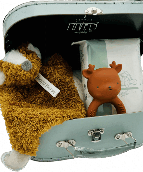 Kraamkoffer Bosvriendjes Little Deer