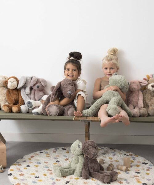 Alternative view of Dog Jax Tuttle