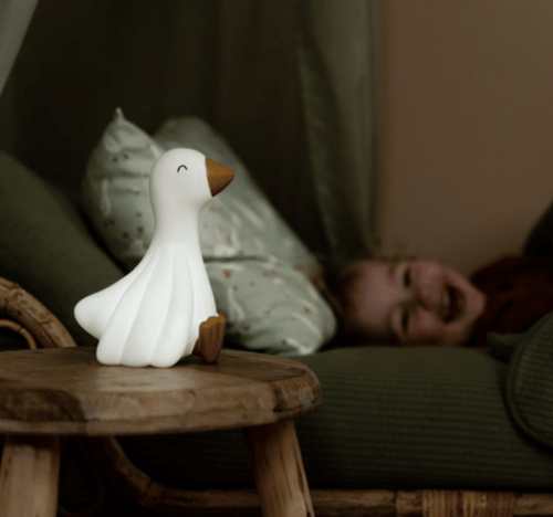 Nachtlampje Little Goose