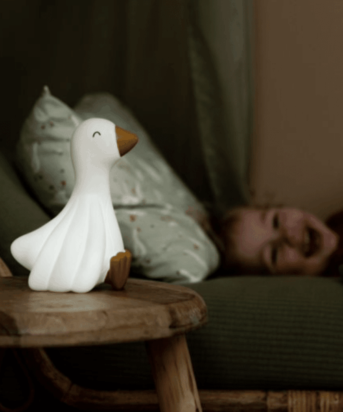 Nachtlampje Little Goose