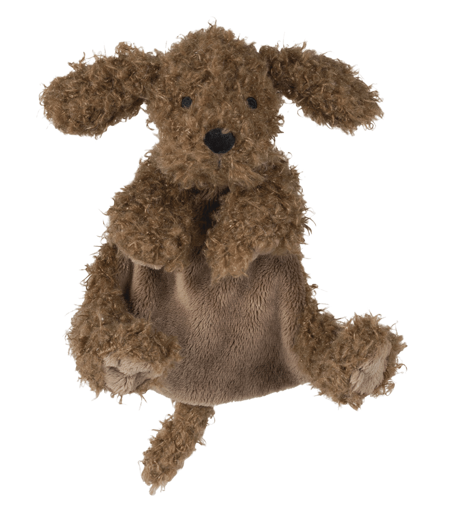 Labradoodle Larry Tuttle