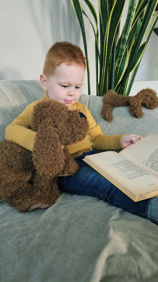 Labradoodle Larry Tuttle - Afbeelding 2