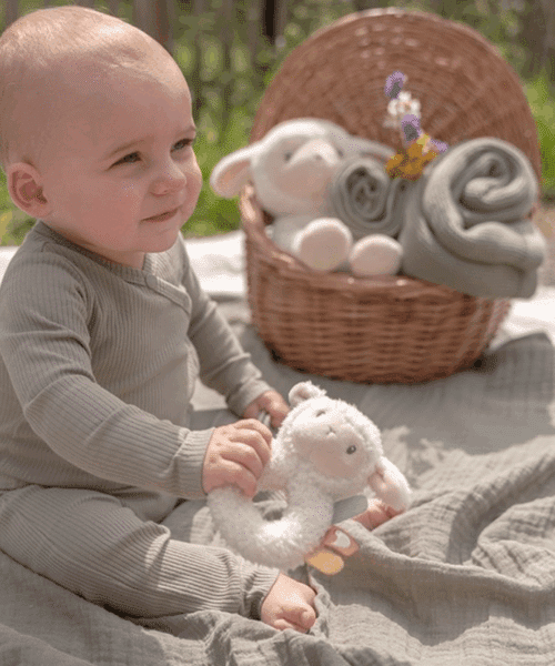 Alternative view of Zachte ringrammelaar schaap Little Farm