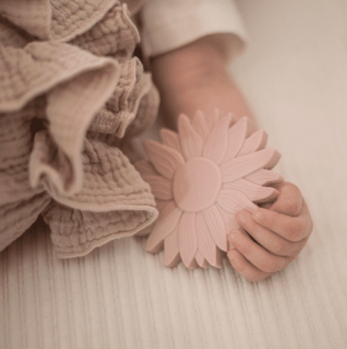 Alternative view of Kraambox Squirrel Sancho Care