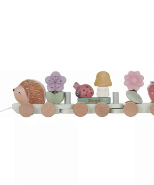 Blokkentrein Egel - Fairy Garden met naam