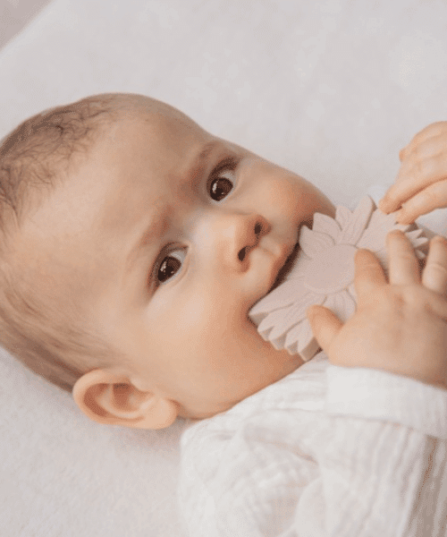 Alternative view of Bijtspeeltje Zon (Nougat)