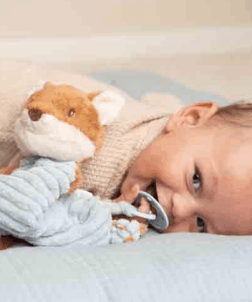 Alternative view of Knuffeldoekje Vos Forest Friends Little Dutch