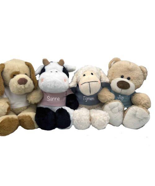 Knuffel met shirtje met naam