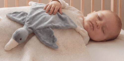 Tutdoekje Eend Guusje